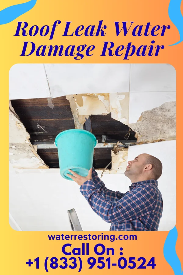 Roof Leak Water Damage Repair in Fire Island, NY